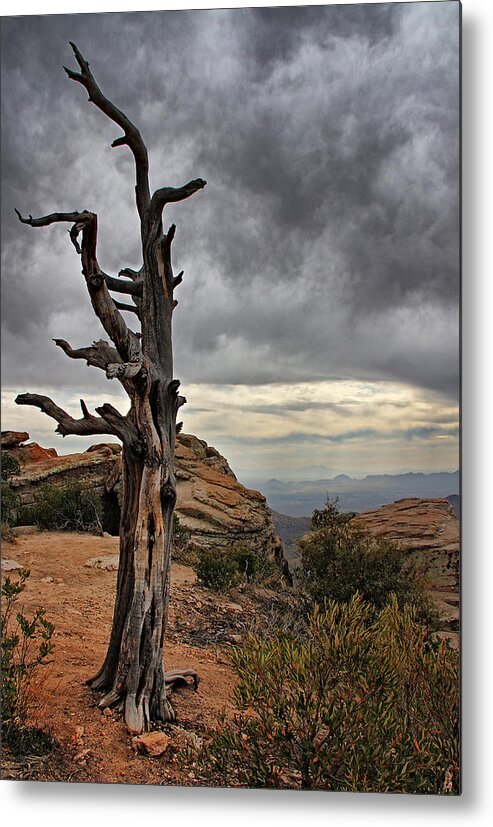 Mount Lemmon Metal Print featuring the photograph Crags and Crooks II #1 by Leda Robertson