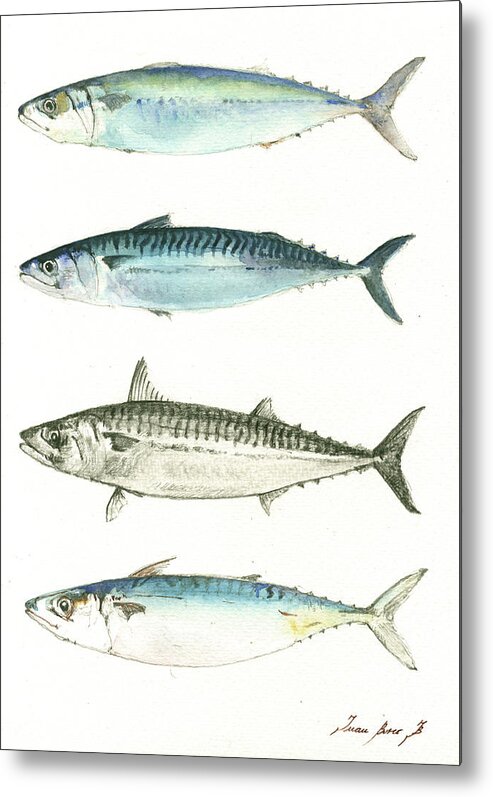 Mackerel Metal Print featuring the painting Mackerel fishes #2 by Juan Bosco