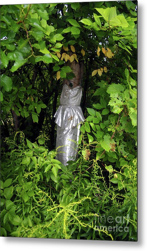 Clothes Metal Print featuring the photograph A Silver Gown In A Glade by Walter Neal