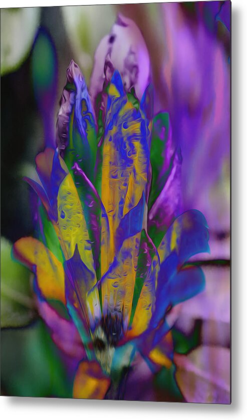 Jessica Manelis Metal Print featuring the photograph Abstract #4 by Jessica Manelis
