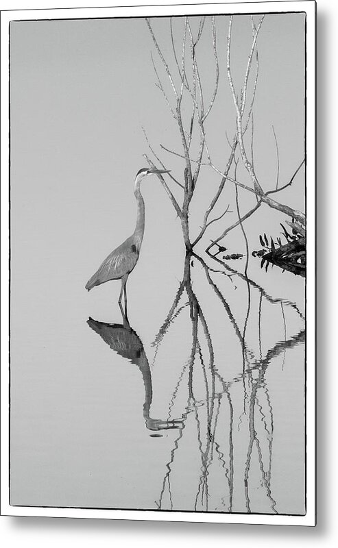 Heron Bird Abstract Water Shadows Reflection Aquatic Florida  Metal Print featuring the photograph Abstracts on the Lake by Carolyn D'Alessandro