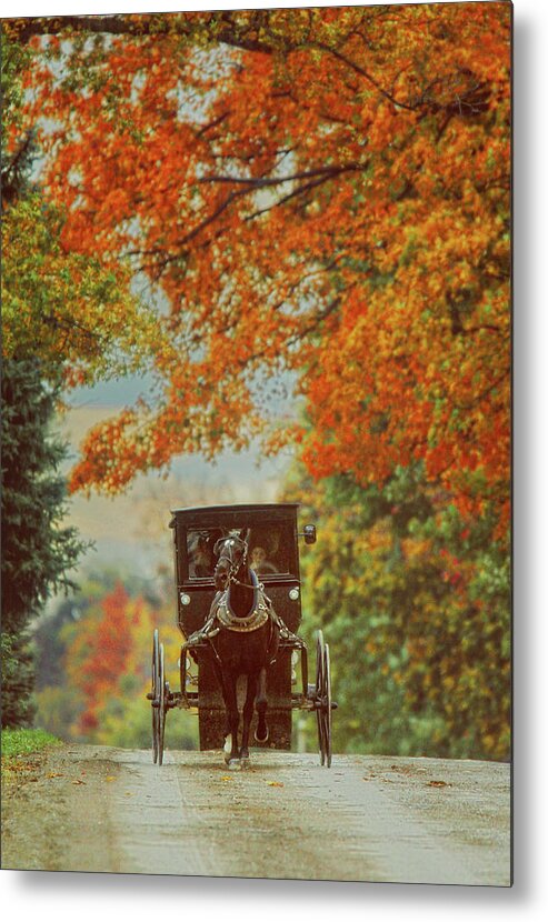 Amish Metal Print featuring the photograph Amish Autumn by Carrie Ann Grippo-Pike