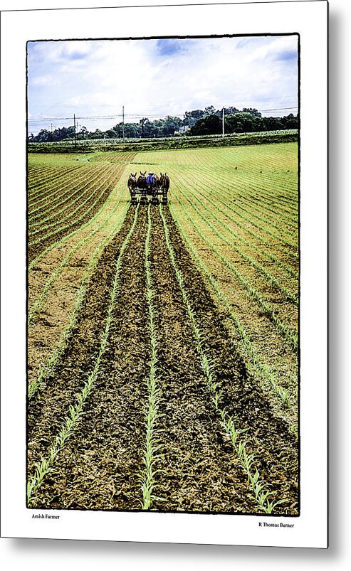 Amish Metal Print featuring the photograph Amish Farmer by R Thomas Berner