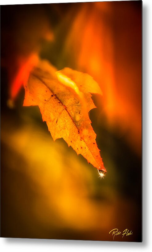 Autumn Metal Print featuring the photograph Autumn Drops by Rikk Flohr