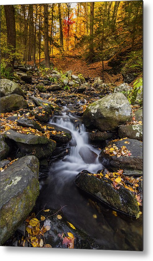 Bushkill Falls Metal Print featuring the photograph Autumn glory at Bushkill Falls State Park Pennsylvania USA by Vishwanath Bhat