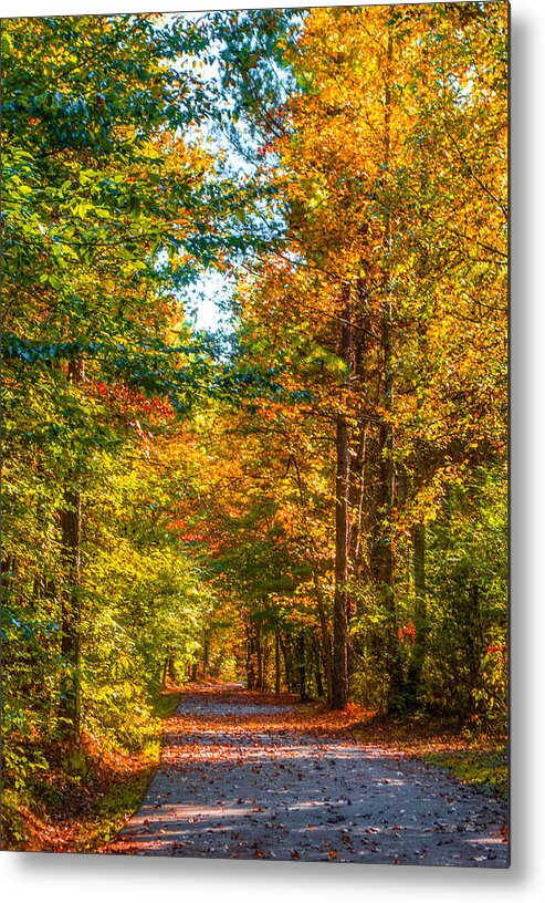 Path Metal Print featuring the photograph Autumn Path by Parker Cunningham