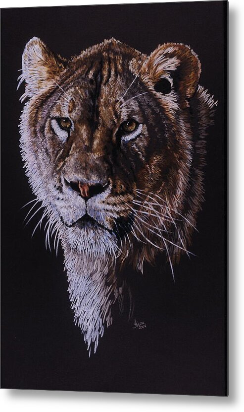 Lion Metal Print featuring the drawing Ayla of Noah's Lost Ark Sanctuary by Barbara Keith