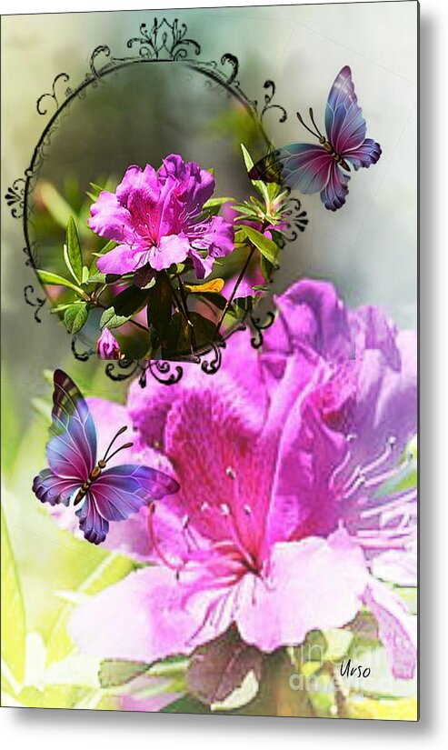 Azaleas And Butterflies Metal Print featuring the photograph Azalea and Butterflies by Maria Urso