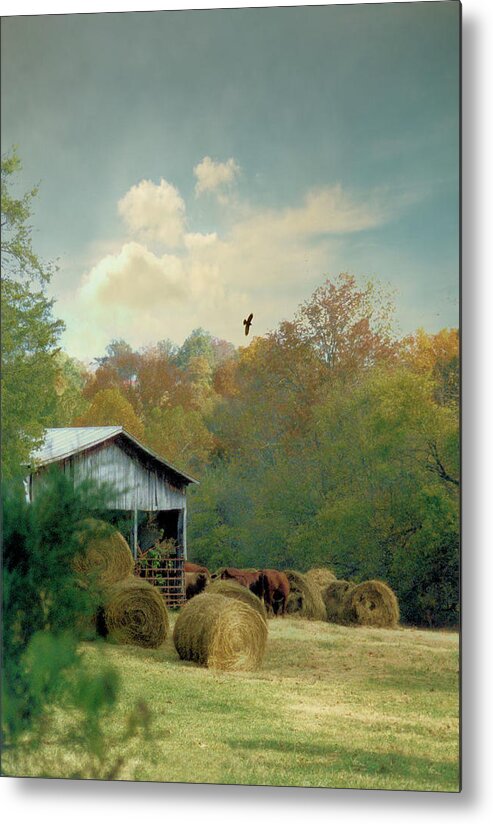 Landscapes Metal Print featuring the photograph Back At The Barn Again by Jan Amiss Photography