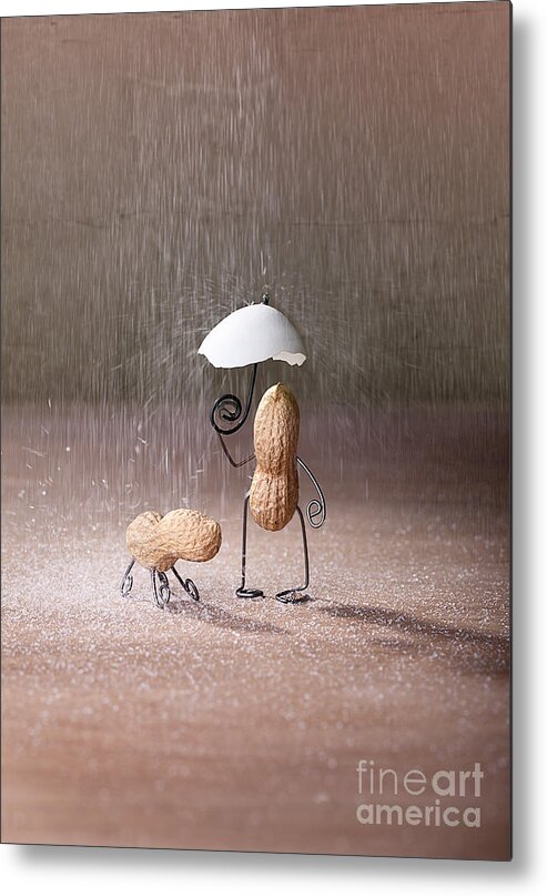 Peanut Metal Print featuring the photograph Bad Weather 02 by Nailia Schwarz