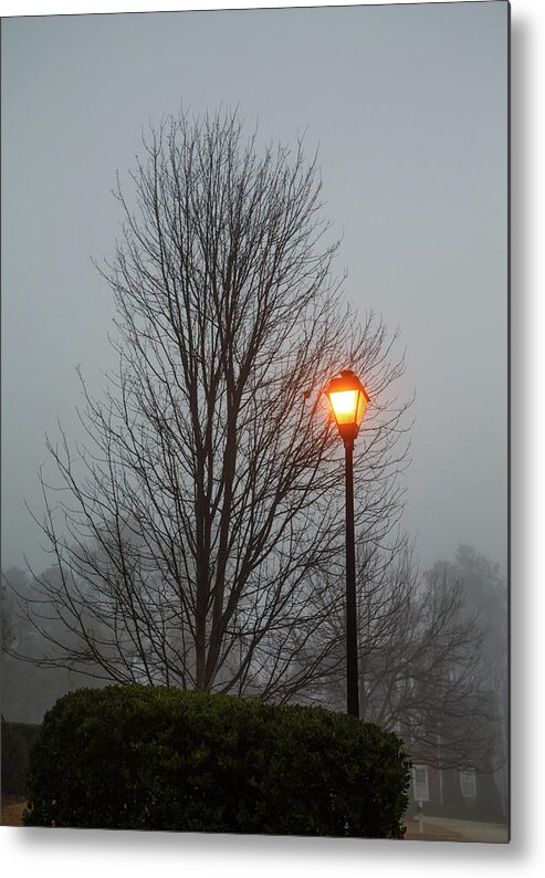 Bare Metal Print featuring the photograph Bare Tree and Street Light in Early Morning Fog by Darryl Brooks