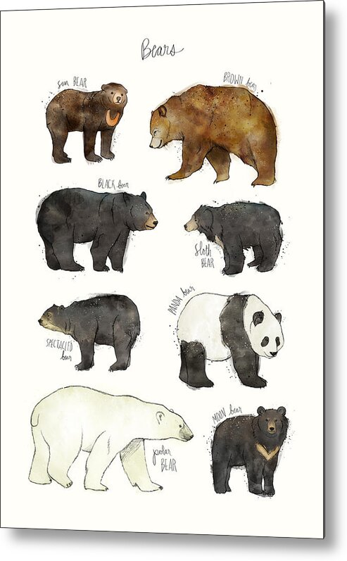 Bear Metal Print featuring the drawing Bears by Amy Hamilton