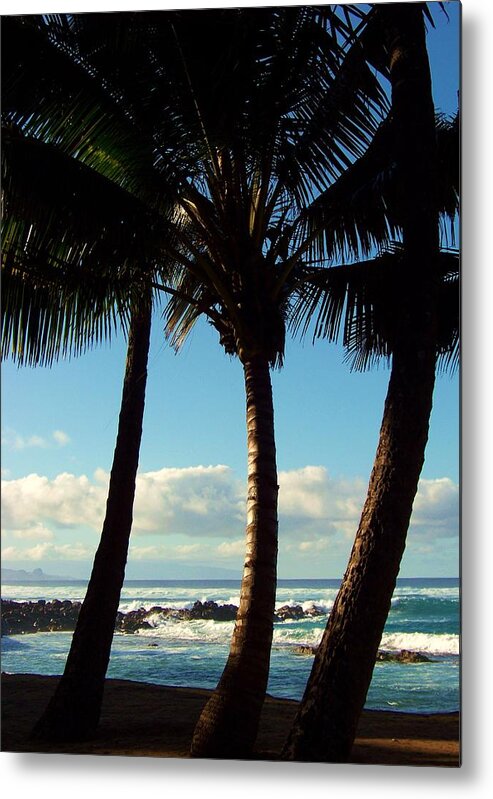 Palm Trees Metal Print featuring the photograph Blue Palms by Karen Wiles
