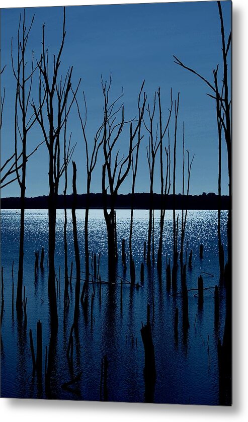 Nature Landscapes Metal Print featuring the photograph Blue Reservoir - Manasquan Reservoir by Angie Tirado