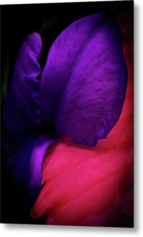 Flowers Metal Print featuring the photograph Bold and Beautiful by Judi Kubes