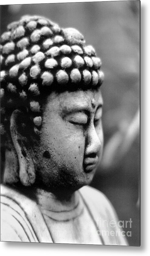 Buddha Metal Print featuring the photograph Buddha by Eileen Gayle