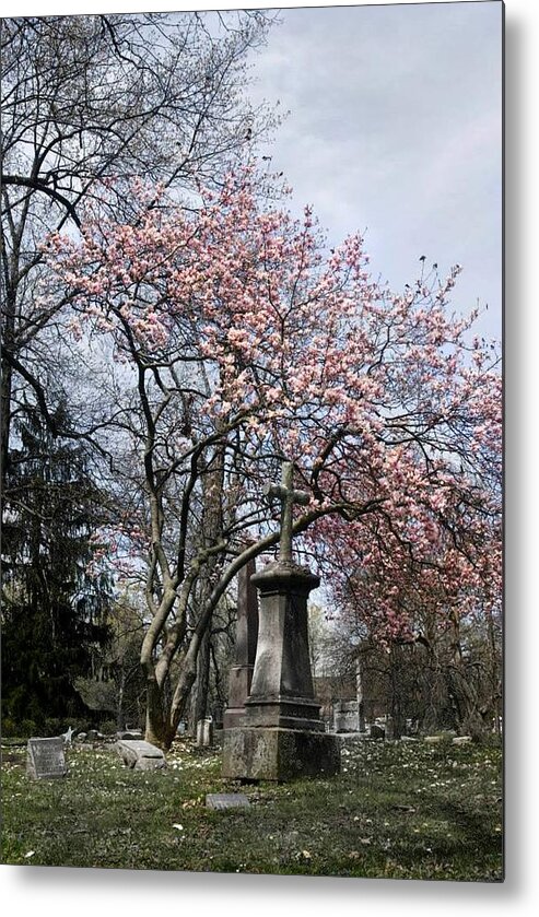  Metal Print featuring the photograph Cherry Blossoms by Melissa Newcomb