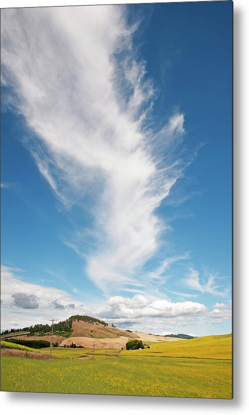Outdoors Metal Print featuring the photograph Clouds and Canola by Doug Davidson