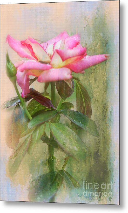Rose Metal Print featuring the photograph Come Rest With Me by Joan Bertucci