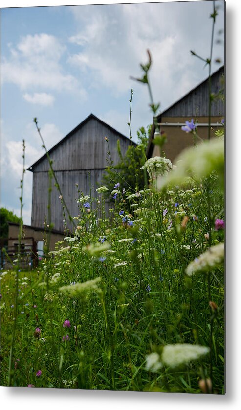 Farm Metal Print featuring the photograph Country Life by Holden The Moment