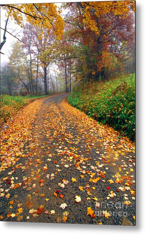 West Virginia Metal Print featuring the photograph Country Roads Take Me Home by Thomas R Fletcher
