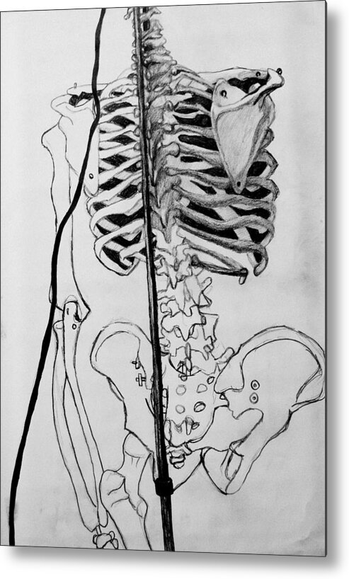 Bone Metal Print featuring the drawing Crackling Bones by Jean Haynes