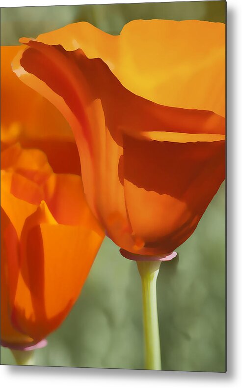 California Metal Print featuring the digital art Cup of Gold by Sharon Foster
