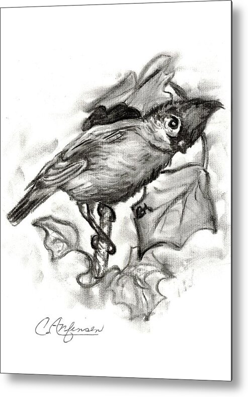 Birds Metal Print featuring the drawing Curious titmouse by Carol Allen Anfinsen