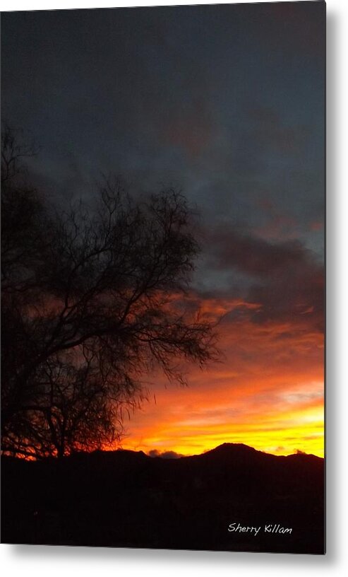 Sunset Metal Print featuring the painting December Sunset by Sherry Killam