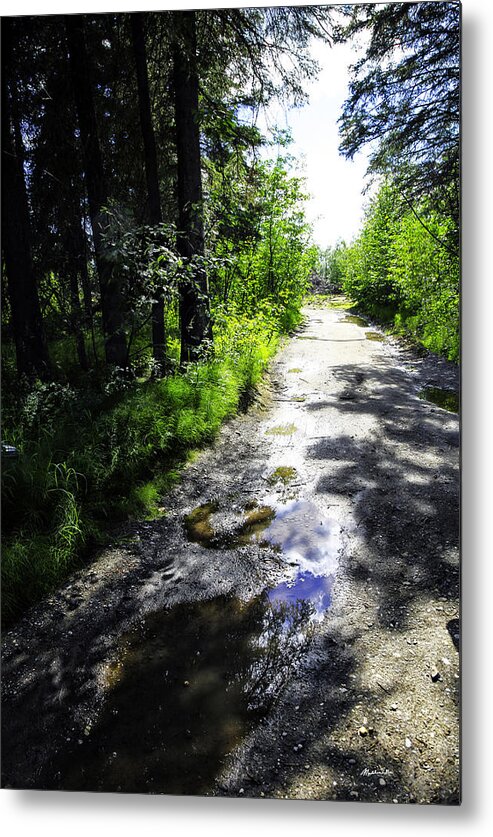 Road Metal Print featuring the photograph Deserted Road After the Rain by Madeline Ellis