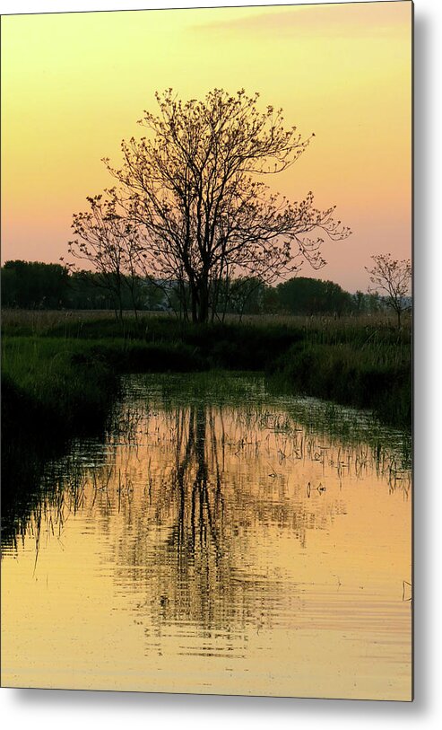 Sunset Metal Print featuring the photograph End of Day by Azthet Photography