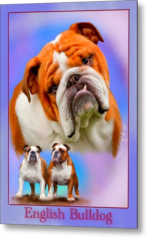 English Bulldog Metal Print featuring the painting English Bulldog With Border by Becky Herrera