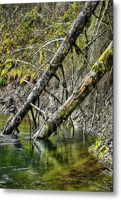 Riverscape Metal Print featuring the photograph Fallen Friends by Jason Brooks