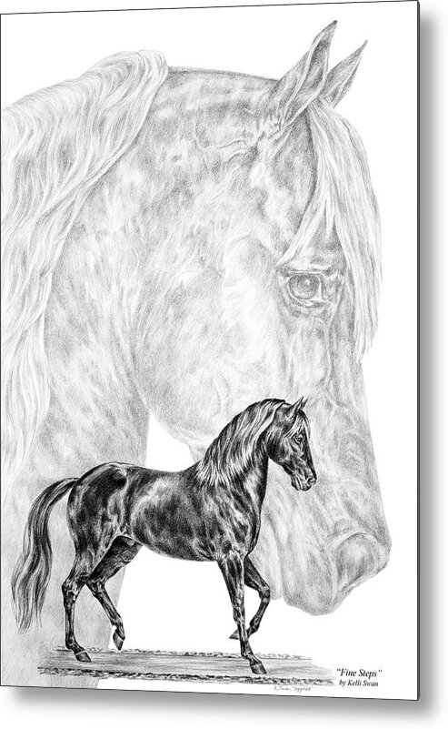 Paso Fino Metal Print featuring the drawing Fine Steps - Paso Fino Horse Print by Kelli Swan