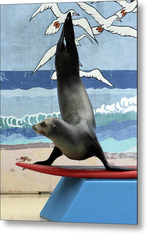  Metal Print featuring the photograph Fins Up by Kenneth Campbell