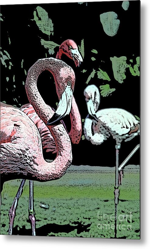 Pink Metal Print featuring the photograph Flamingos II by Jim And Emily Bush