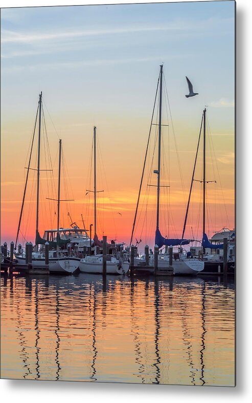 Boat Metal Print featuring the photograph Fly By by Leticia Latocki