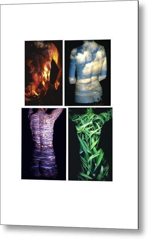 Nature Fusion Metal Print featuring the photograph Four Elements by Arla Patch