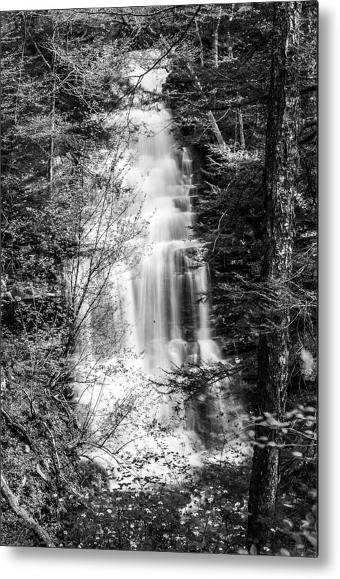 Waterfalls Metal Print featuring the photograph Ganoga Falls - 8907 by Gordon Sarti