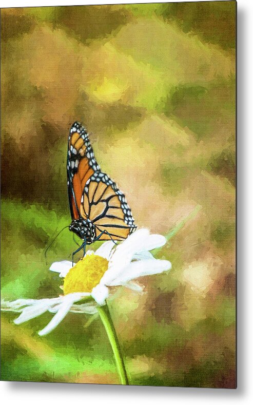 Butterfly Metal Print featuring the photograph Garden Visitor by Cathy Kovarik