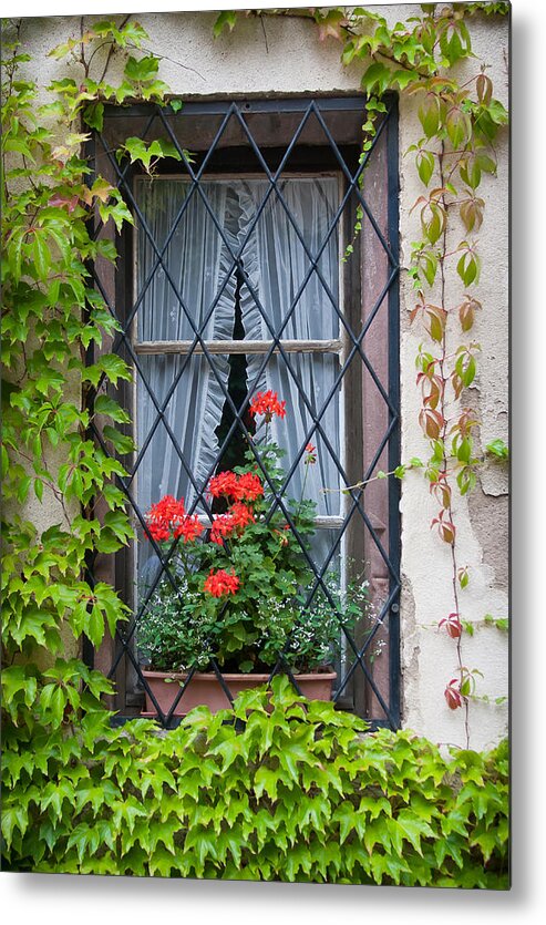 Window Metal Print featuring the photograph Red flowers in window box by Jenny Setchell