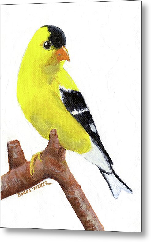 Bird Metal Print featuring the painting Goldfinch by Donna Tucker