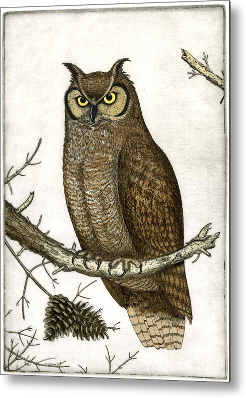 Etching Metal Print featuring the painting Great Horned Owl by Charles Harden