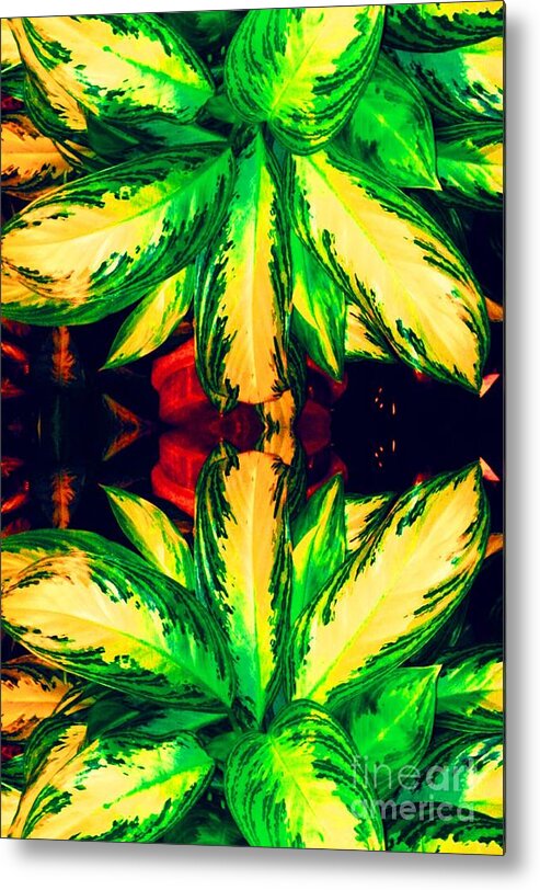 Photograph All Prints And Sizes Metal Print featuring the photograph Green With Envy by Gayle Price Thomas