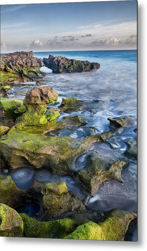 Atlantic Metal Print featuring the photograph Greenery in Coral Cove by Andres Leon