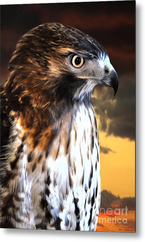 Hawk Metal Print featuring the photograph Hawk Sunset by Adam Olsen