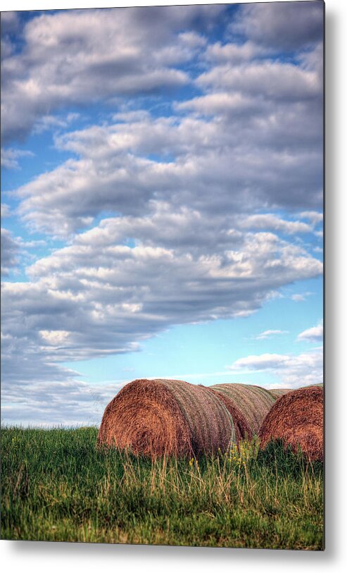 Hay Metal Print featuring the photograph Hay It's Art by JC Findley
