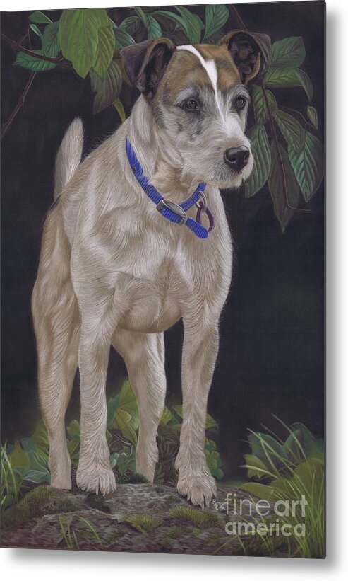 Terrier Metal Print featuring the painting Holly by Karie-ann Cooper