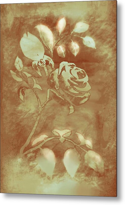 Photograph Metal Print featuring the digital art Honey Rose I by Delynn Addams