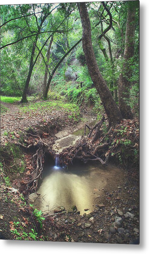 Hayward Metal Print featuring the photograph I Had a Feeling by Laurie Search